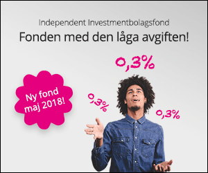 Låg avgift – 300x250 pixlar
