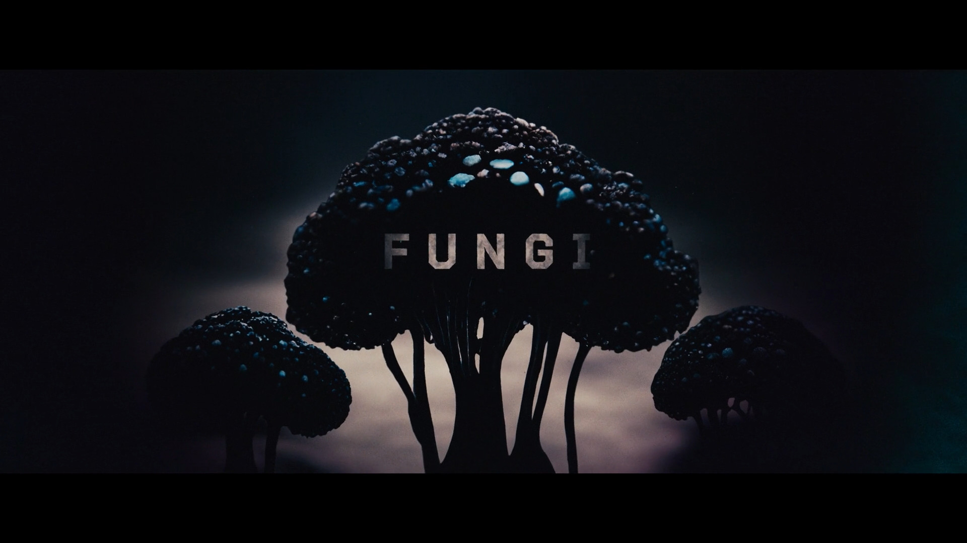 Inofficiell trailer – Fungi (2023)